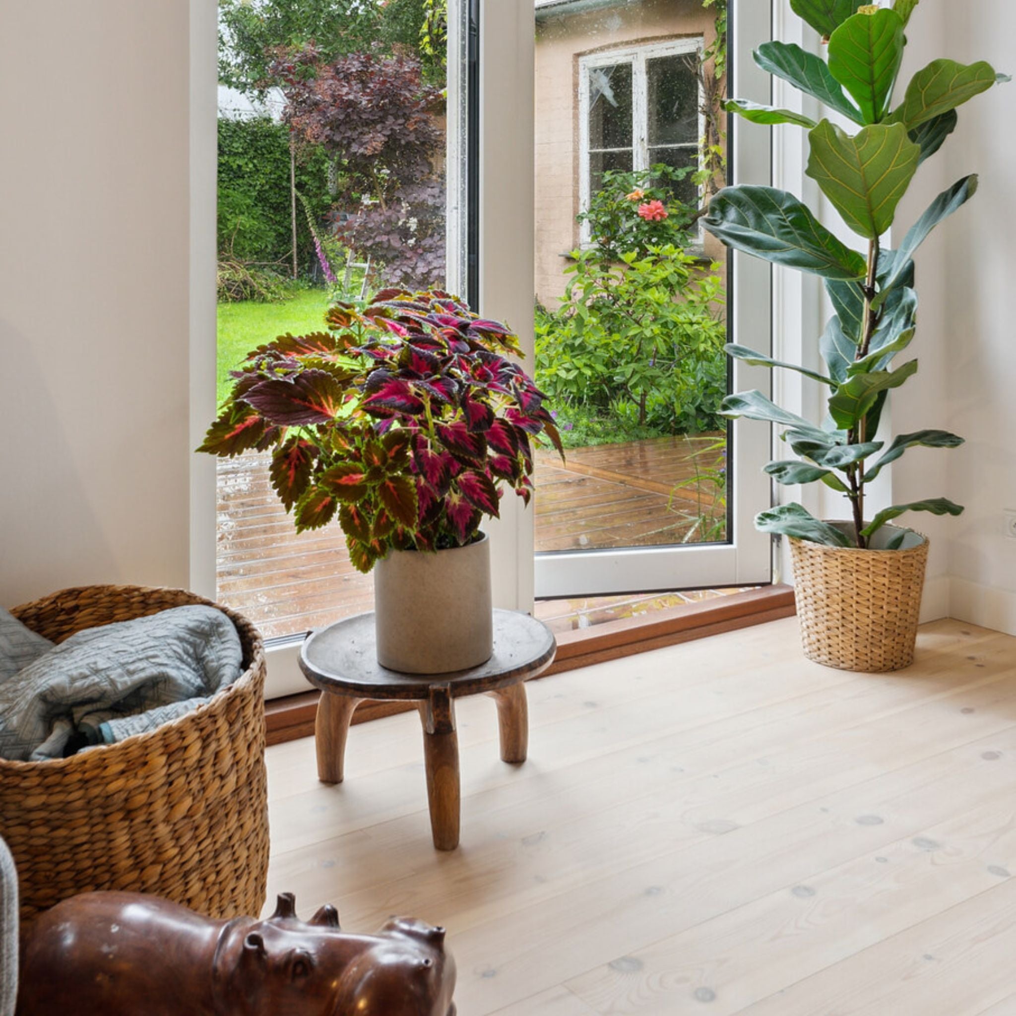 Fyr Prima 15x155 Lud & Hvidolie