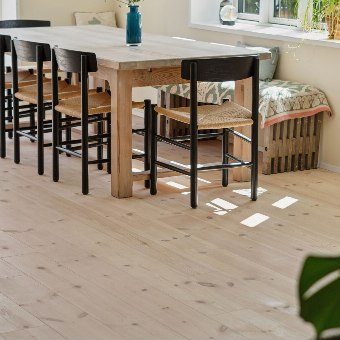 Kiefer Prima 22x155 Unbehandelt