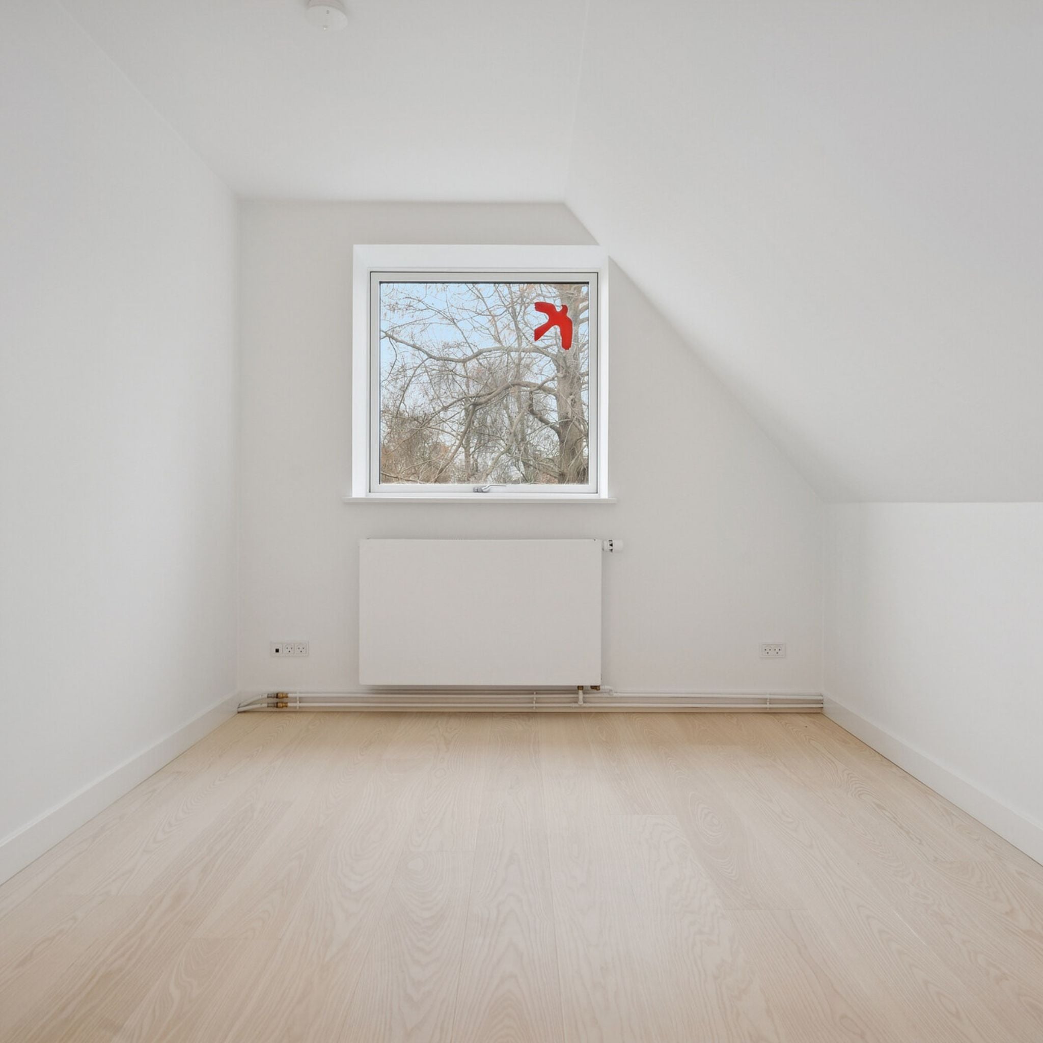 Ask Select 22x185 Frost Matlak